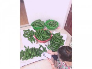 E là cô gái bơ Bơ ngol nhất lâm đồng đây ạ Sỉ và lẻ số lượng lớn nha cả nha Hãy ib ngay cho e nha