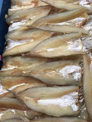 Cá mối 1 nắng - Biển Quỳnh Food