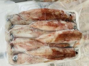 Mực Tươi 1kg Mực Tươi Nháy Quảng Nam