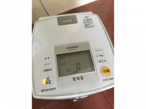 Nội địa Nhật zin 100v