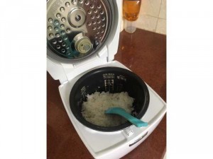 Nội địa Nhật zin 100v