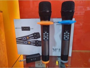 Micro không dây đa năng Chỉn bass trep và echo Xỉn !