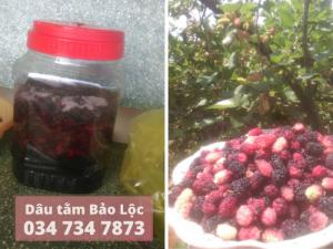 Siro dâu tằm