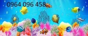 gạch tranh 3d - tranh gạch 3d bể bơi