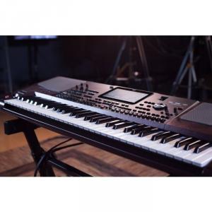Đàn organ Korg PA 1000 được thiết kế với khái niệm kết hợp một cấu hình mỏng với motif chuyên nghiệp. Nhưng trong khi kích thước của nó có vẻ nhỏ gọn, âm thanh của nó là rất lớn, nhờ vào sức mạnh của hệ thống khuếch đại được thiết kế theo yêu cầu chất lượng cao. Bộ khuếch đại 2×33 Watt điều khiển 4 loa ngoài trong một thùng loa bass-reflex để tạo ra một trải nghiệm nghe nhạc phong phú, tràn đầy.