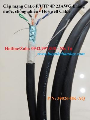 Cat.6 F/UTP 4P 23AWG (30026-BK-AQ) - Cáp mạng kháng nước, chống nhiễu Hosiwell Cable, 305m/cuộn