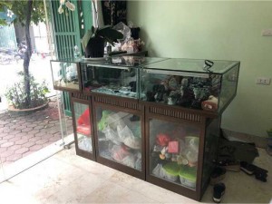 tủ bán hành giá như cho