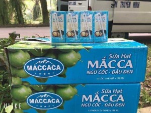 Sữa hạt macca