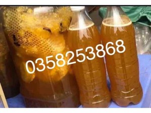 Mật Ong rừng Lai Châu