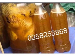 Mật Ong Rừng Lai Châu