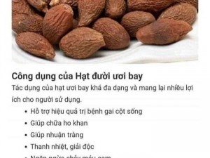 Hạt đười ươi