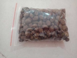 Hạt đười ươi