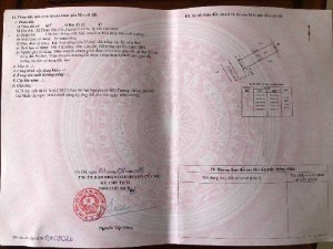 Cần bán gấp 1 số lô đất đẹp