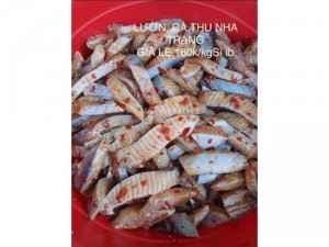 LƯỜN CÁ TGU NHA TRANG