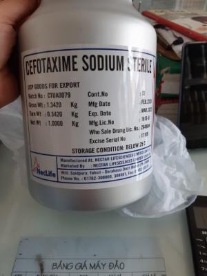 Cefotaxime Neclife 98%