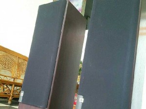 Loa mỹ JBL LX-800MKii