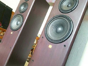 Loa mỹ JBL LX-800MKii