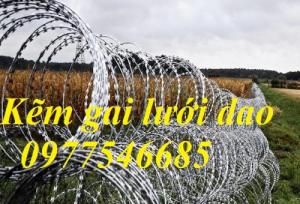 Dây thép gai hình dao-Dây thép gai lưỡi dao chống trộm