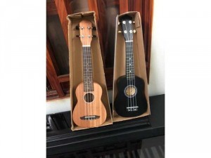 Đàn ukulele : soprano - concert