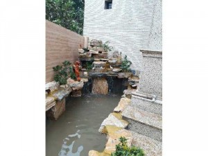 Hồ cá koi hòn non bộ