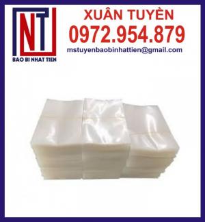 Túi hút chân không, túi PA hút chân không