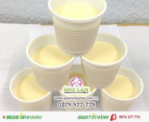 Cung cấp Yaourt phô mai sỉ và lẻ tại TP HCM