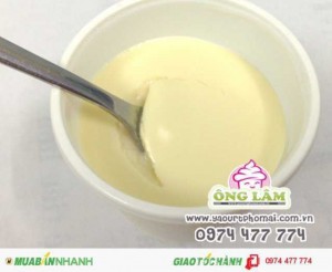 Cung cấp Yaourt phô mai sỉ và lẻ tại TP HCM