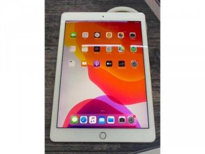 Ipad pro 9.7 256G 4G