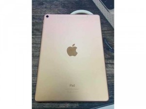 Ipad pro 9.7 256G 4G