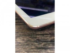 Ipad pro 9.7 256G 4G