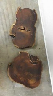 Khay gỗ tự nhiên trồng cây
