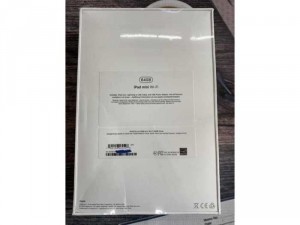 Ipad Mini 5 64G Wifi Silver