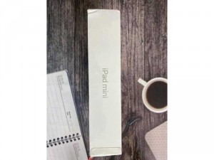 Ipad Mini 5 64G Wifi Silver