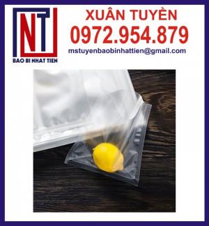 Túi hút chân không - túi PA/PE