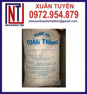 Chuyên in túi đựng nước đá, túi PE