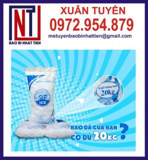 Chuyên in túi đựng nước đá, túi PE