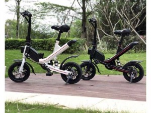 Xe đạp điện