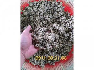 Ruột Dắt to, béo ngậy