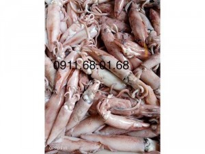 Hải sản sạch Ngư Lộc Thanh Hoá