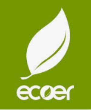 Sữa tắm gội cho bé Ecoer Snow Washing Complex CareCella - CARE43