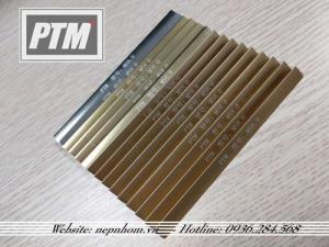 Mẫu nẹp trang trí chữ T, mã hiệu: MS8.0