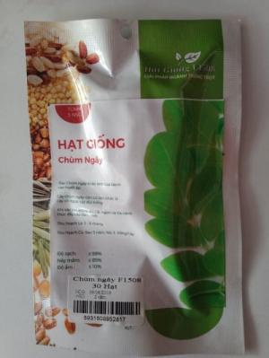 Hạt giống cây chùm ngây F1508
