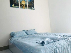 Chỉ với 300tr nhà Hưng Long Bình Chánh