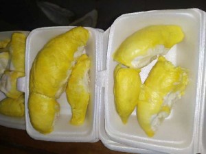 Sầu riêng giá sỉ