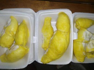 Sầu riêng ri6