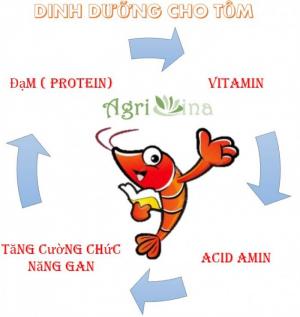 DINH DƯỠNG CHO TÔM, CÁ