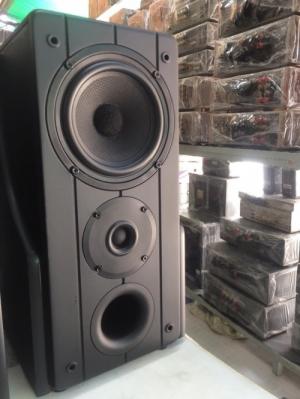 Chuyên bán Loa TEAC D-300 hàng tuyền đẹp