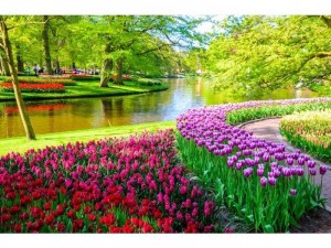 Tranh dán tường 3d mang đến ngôi nhà bạn thêm phần sang trọng quý phái