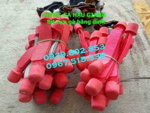 BỊt cựa gà giá sỉ 10 bộ 240k
