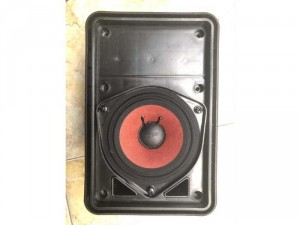 Bose 151 Loa Trợ Lời Karaoke